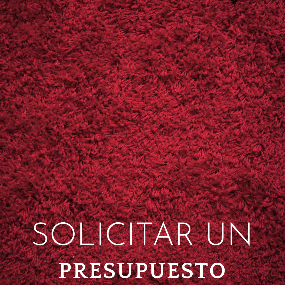 Presupuesto